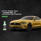 Carnauba Wax