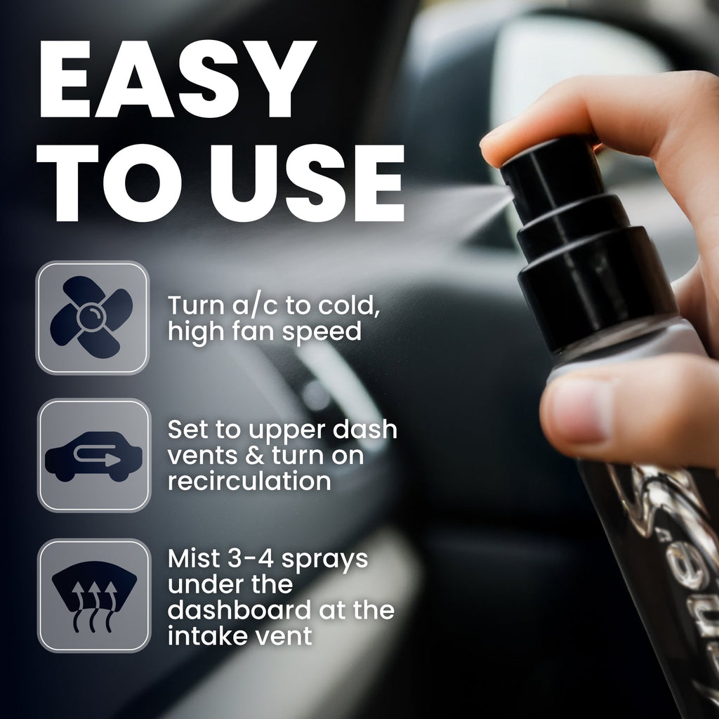 Summer Breeze Car Air Freshener